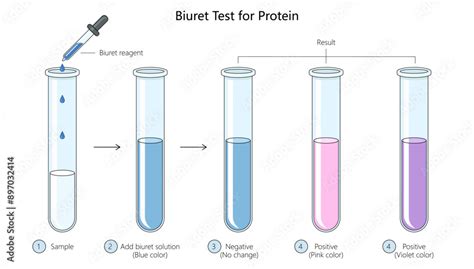 Biuret Test for Protein: Principle, Procedure, Results, Uses.